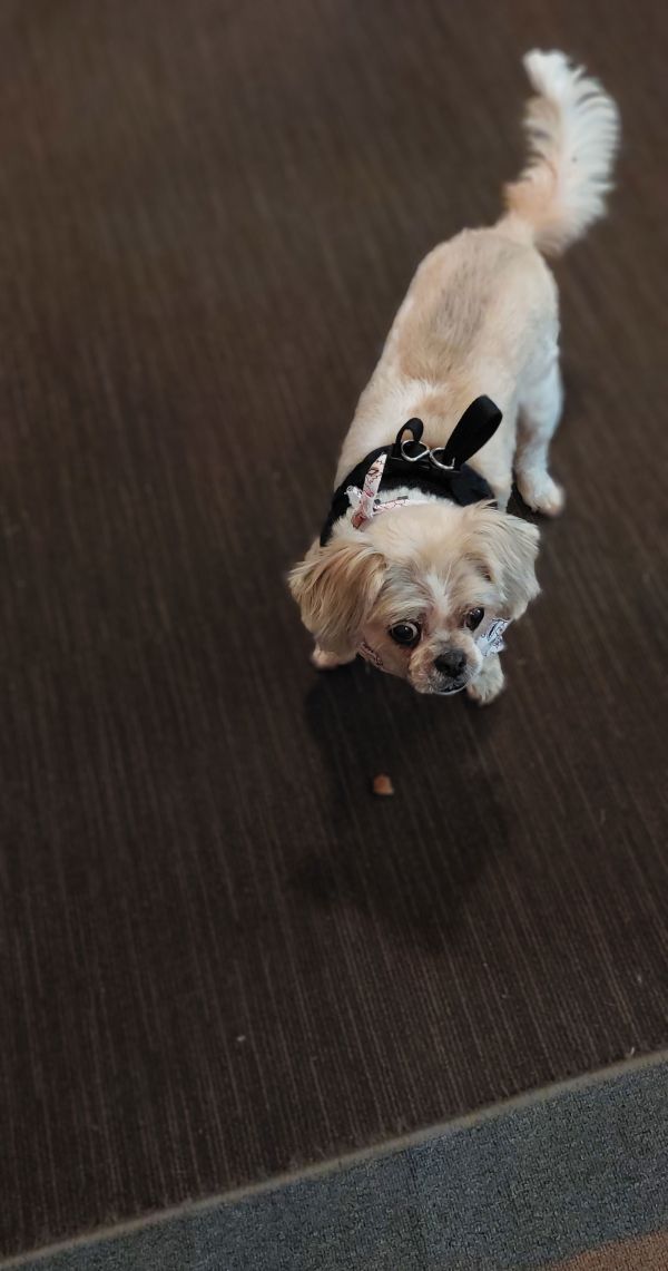 Chloe  Os thumbnail 3