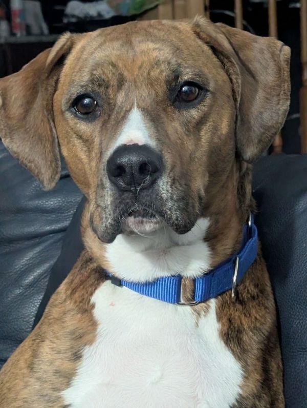 Bailey Fka Quinn thumbnail 2