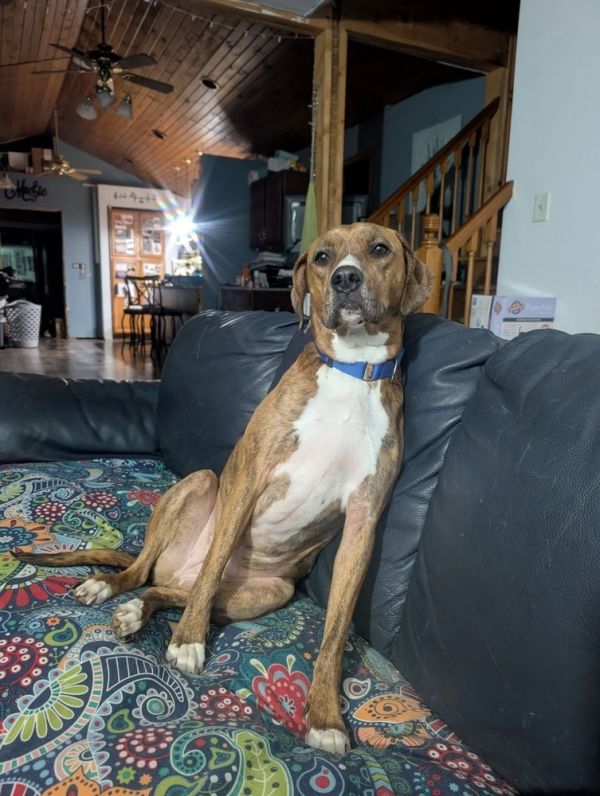 Bailey Fka Quinn thumbnail 3