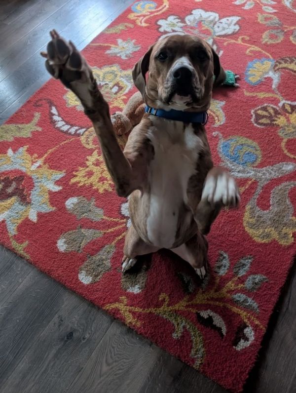 Bailey Fka Quinn thumbnail 4