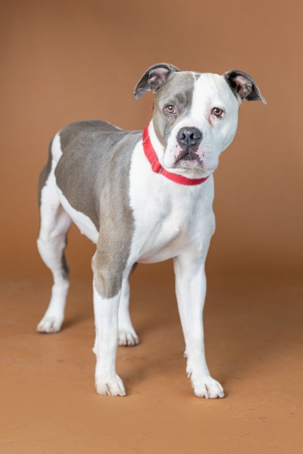 Kawasaki thumbnail 2