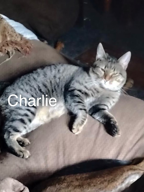 Charlie