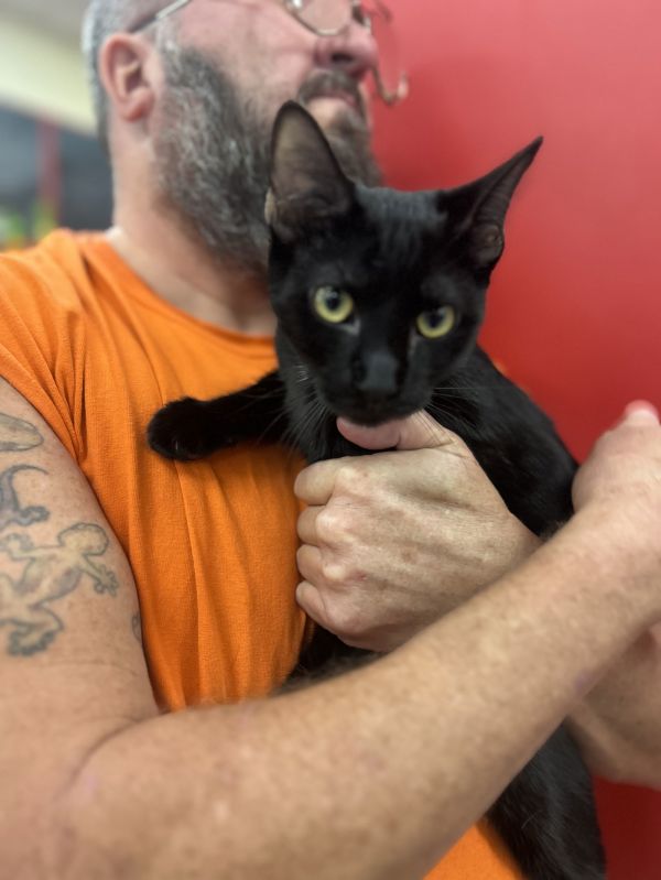 Woodchuck thumbnail 2