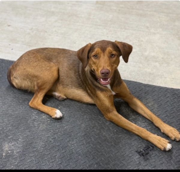 Sweetie- all love, all the time