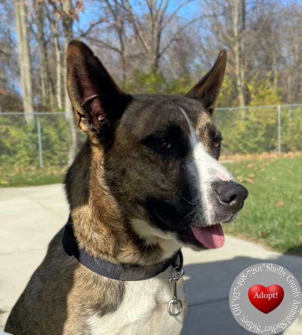 Mossie Yrly thumbnail 2