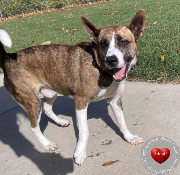 Mossie Yrly thumbnail 3