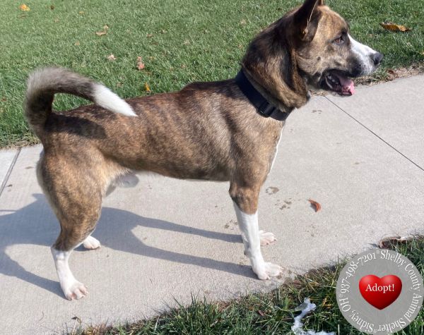 Mossie Yrly thumbnail 4