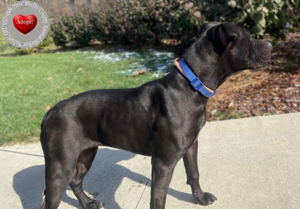 Emberlyn Yrly thumbnail 2