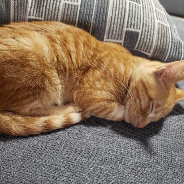 Flex Meet Me At thumbnail 2