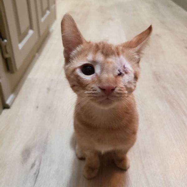 Flex Meet Me At thumbnail 3