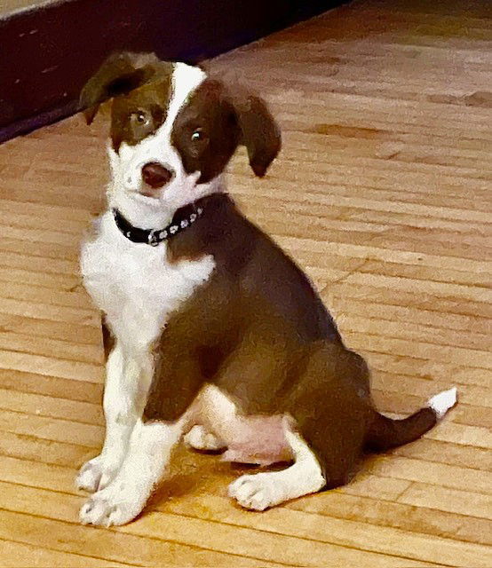 Terrence thumbnail 2