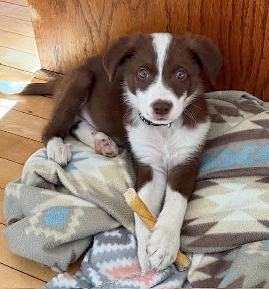 Terrence thumbnail 3