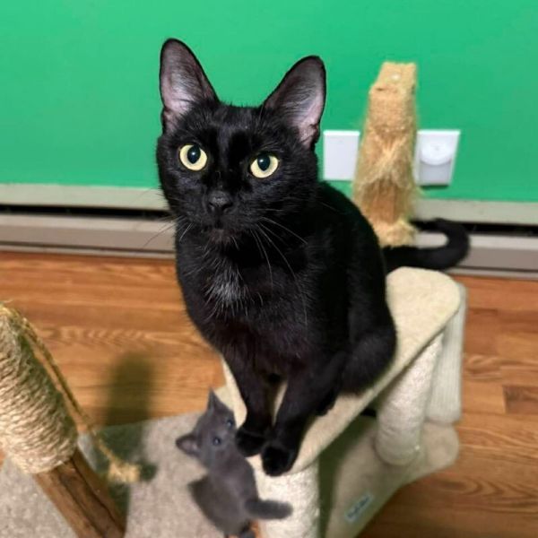 Mama Luna thumbnail 2