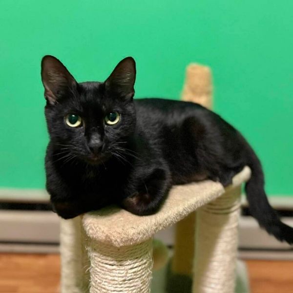 Mama Luna thumbnail 3