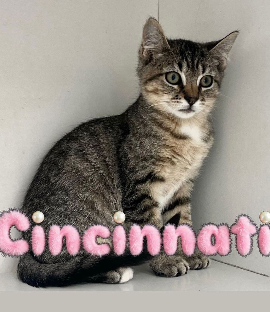Cincinnati