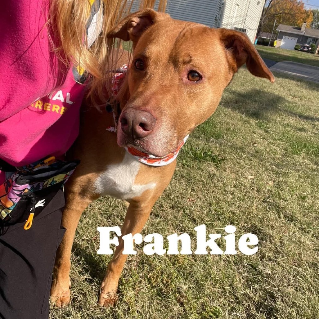Frankie