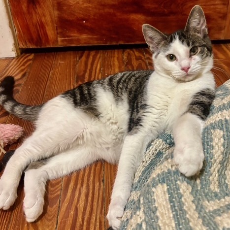 Nature Siblings: Bud (16749)