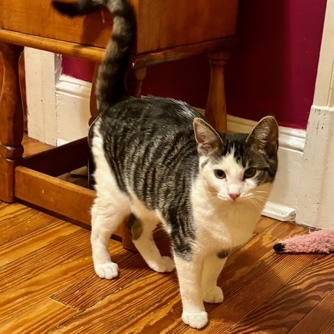 Nature Siblings: Bud (16749)