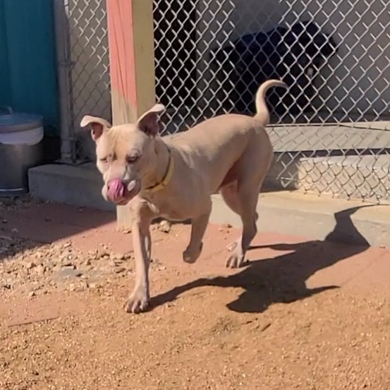 Dave (formerly Hades)