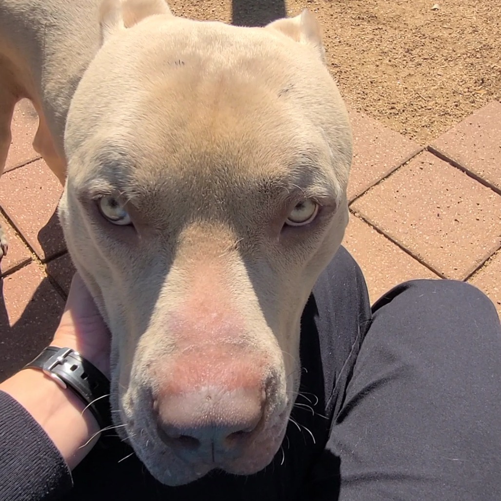 Dave (formerly Hades)