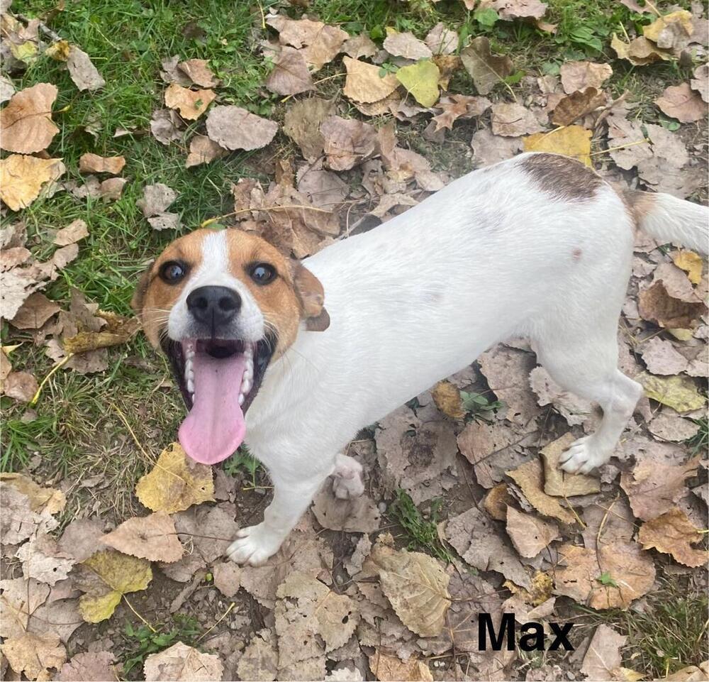 Max