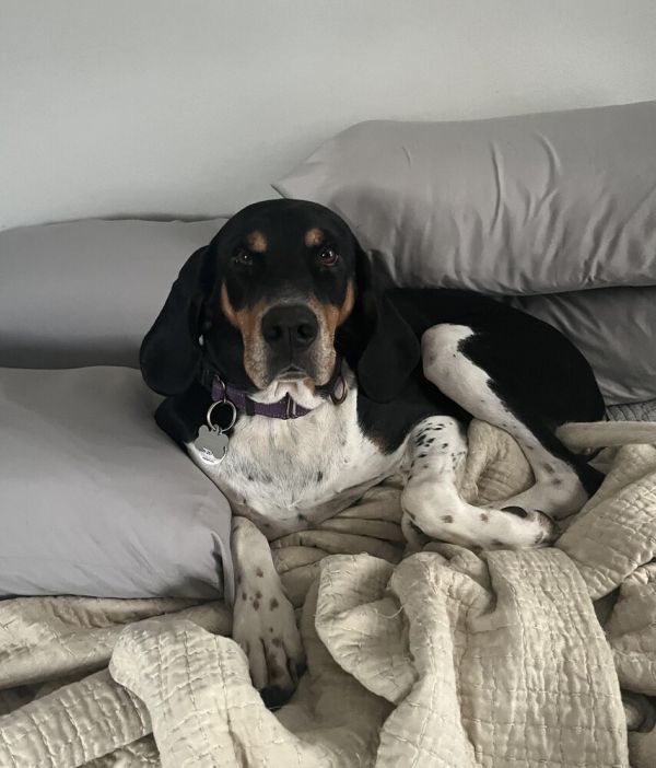 Winnie Aka Susie thumbnail 2