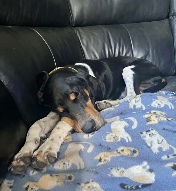 Winnie Aka Susie thumbnail 3