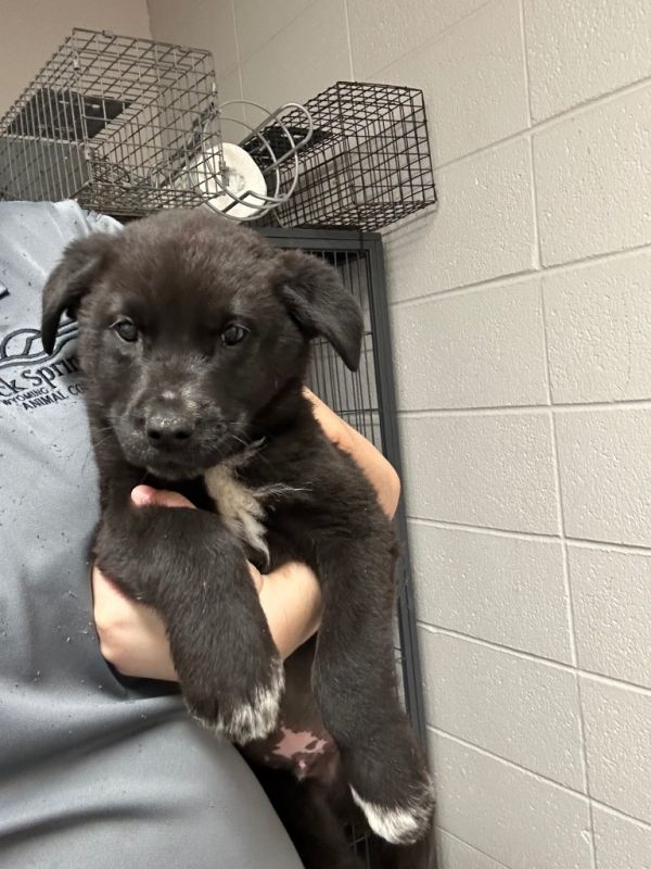 Stuffing thumbnail 2