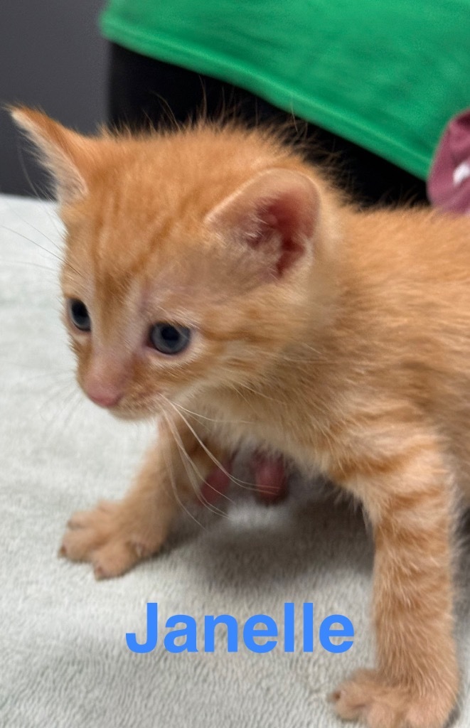 Janelle