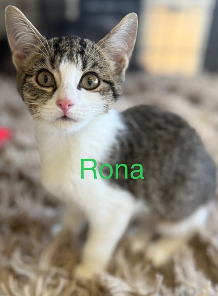 Rona