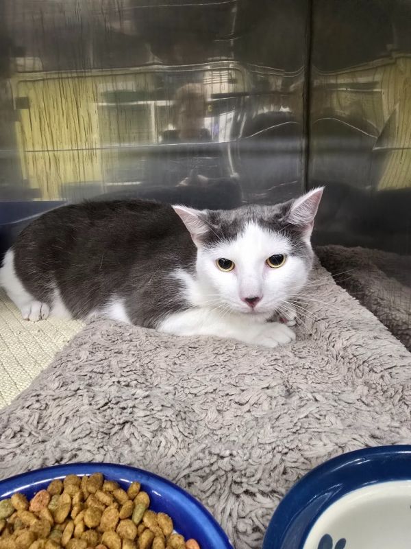 Pistachio thumbnail 2