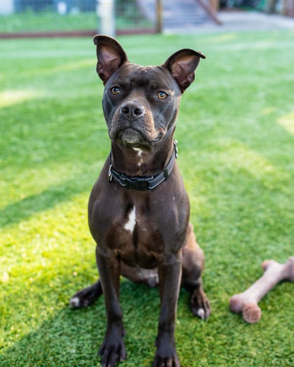 . Shayla thumbnail 3