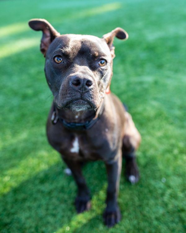 . Shayla thumbnail 4