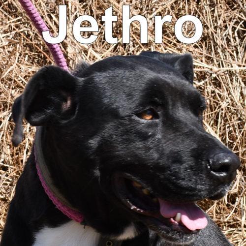 Jethro