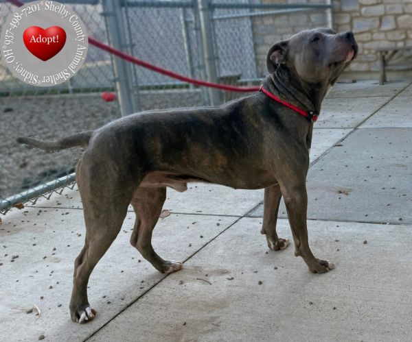 Bane Yrly thumbnail 3