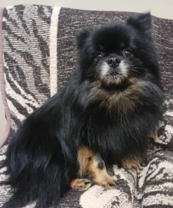 Midnight thumbnail 2