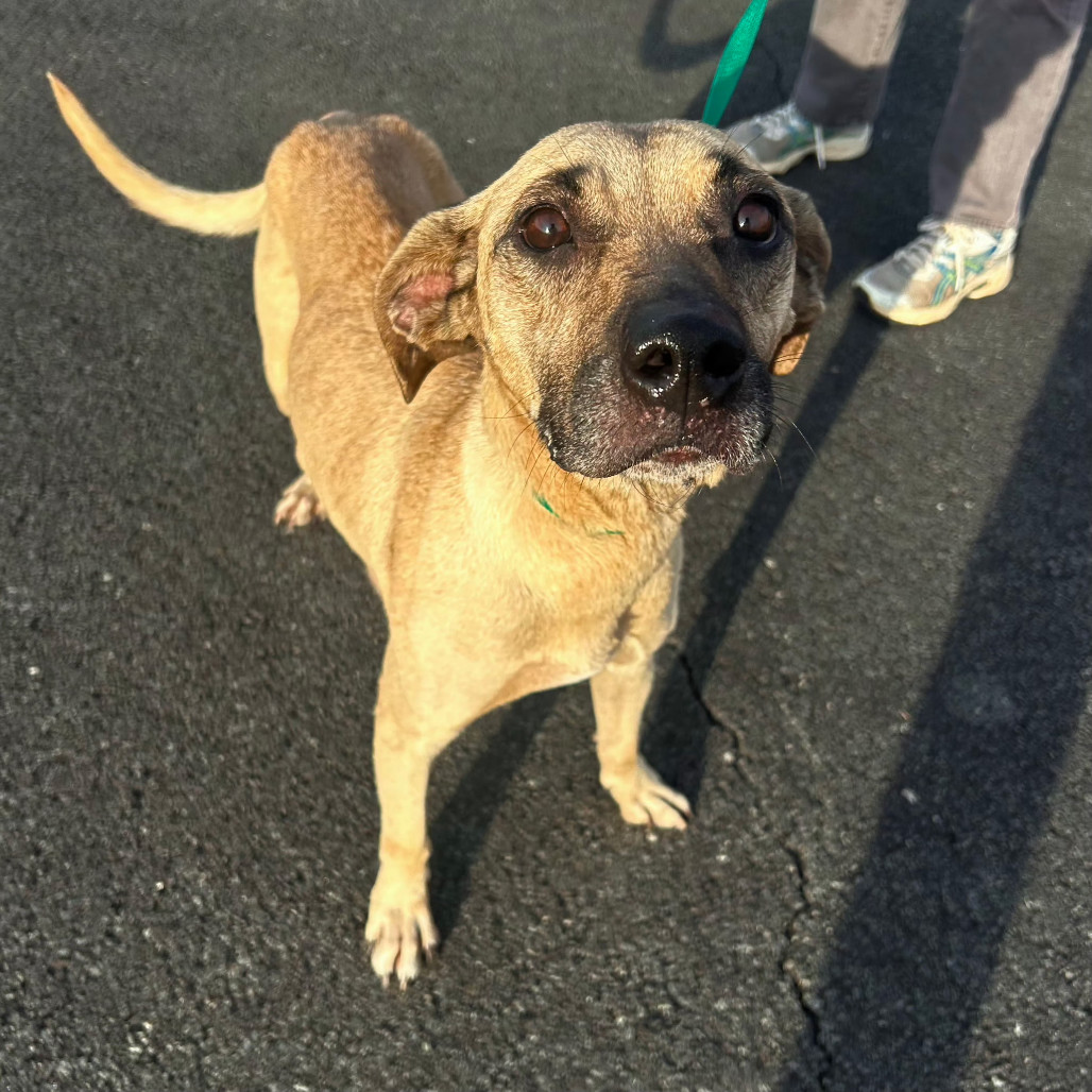 Georgie (fka Bonnie)