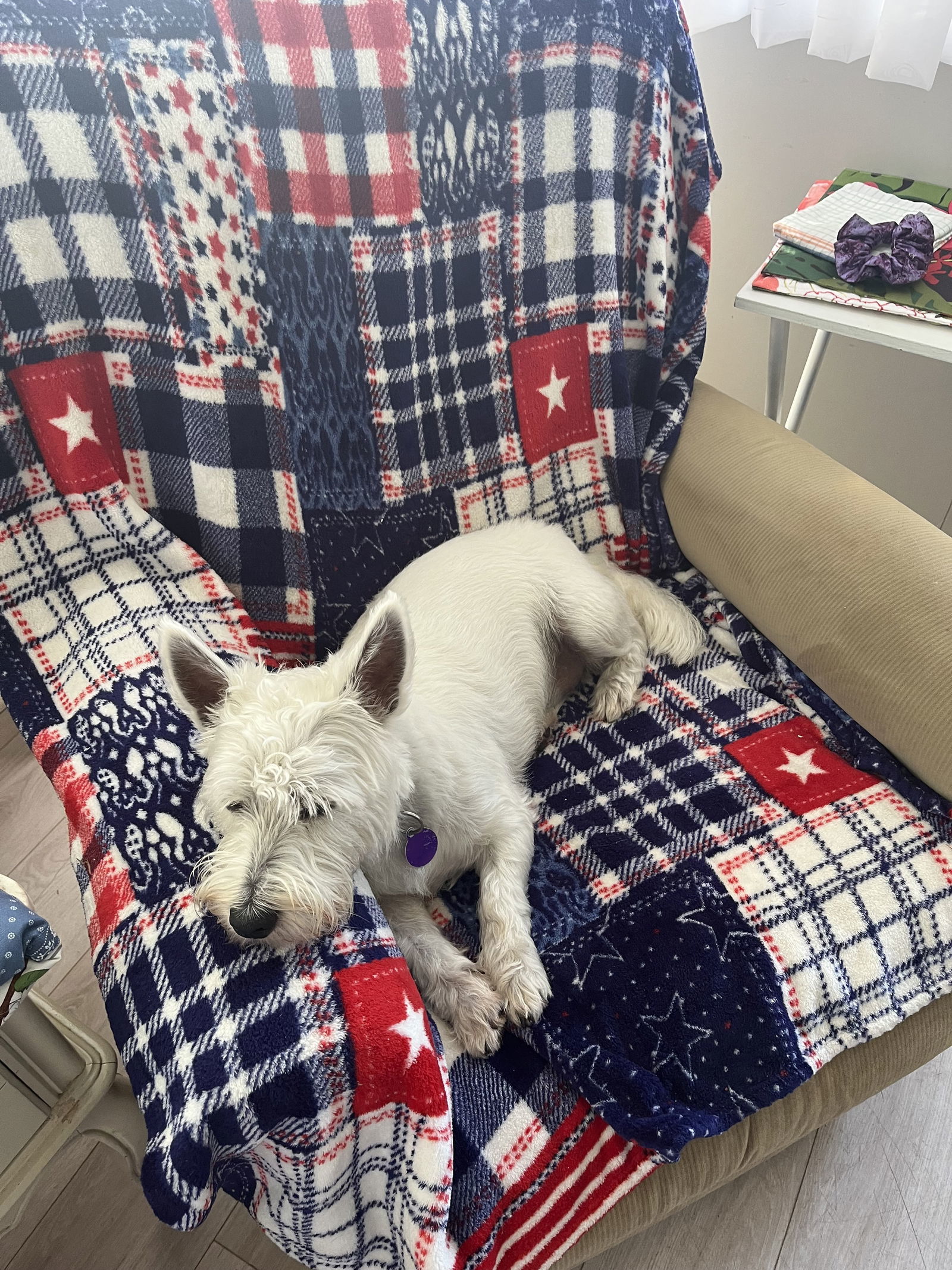 Rascal - Aloft Hotel Downtown Orlando