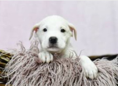 Frannie FH - Aloft Hotel DTO