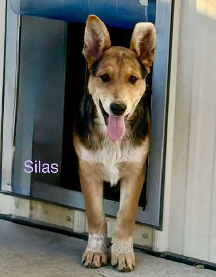 Silas