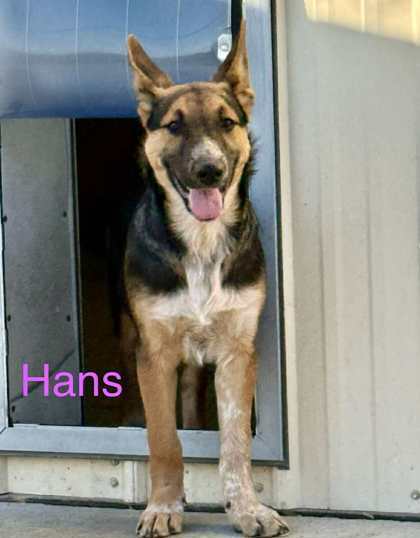 Hans