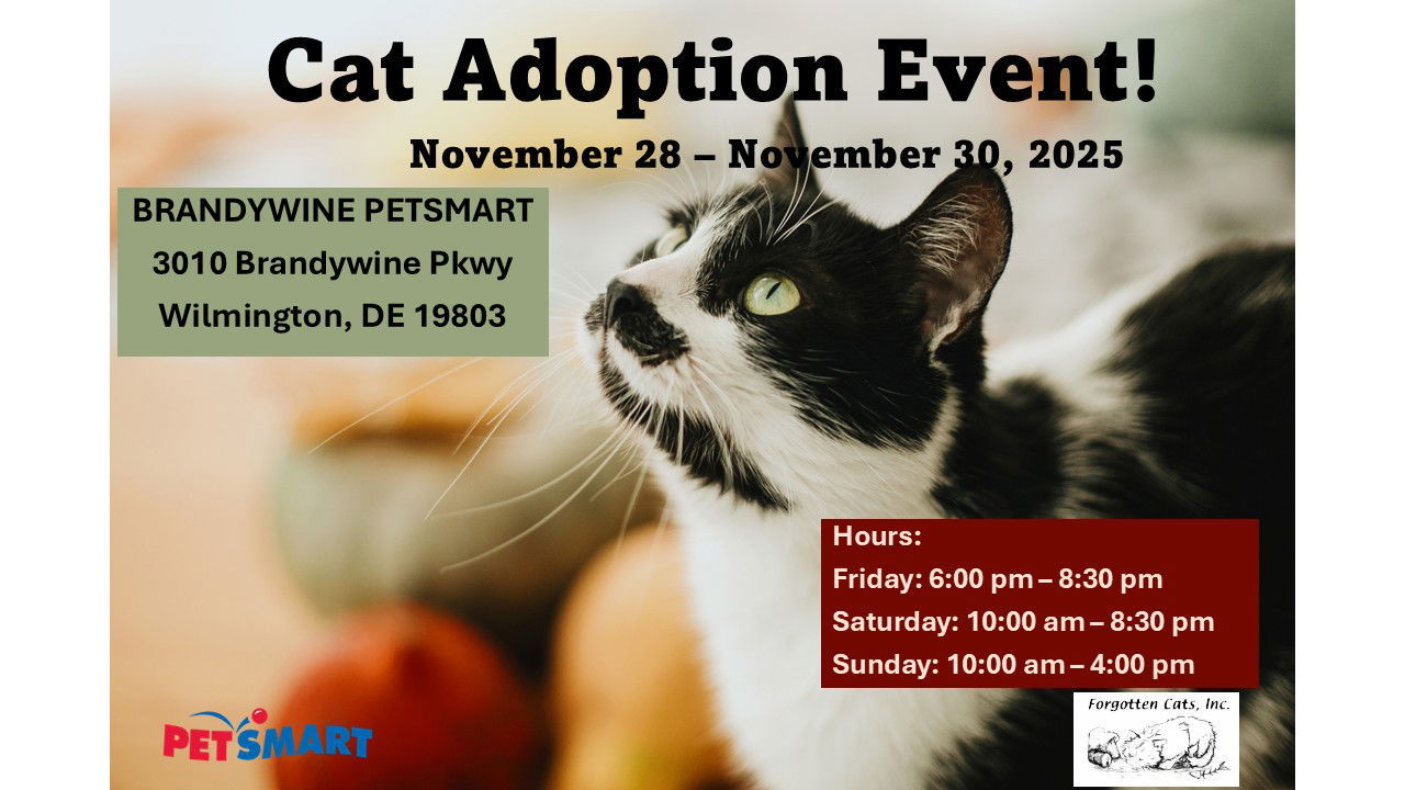 Brandywine PetSmart Adoption Event Nov. 21-23