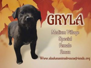 Gryla