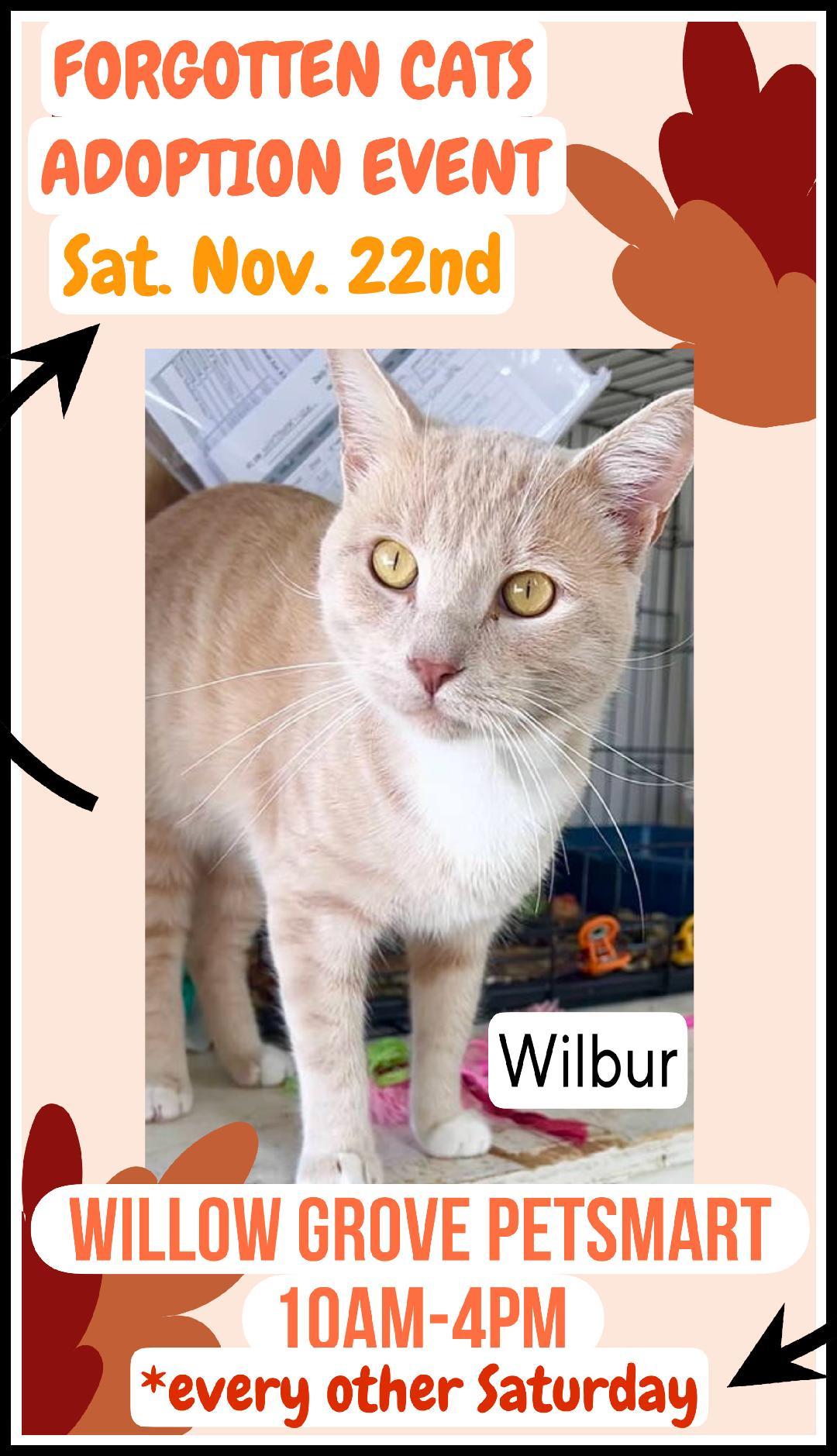 Willow Grove PetSmart Adoption Event 11/22/25