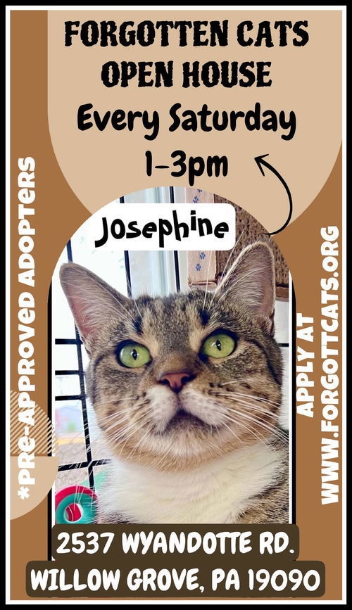 Willow Grove PetSmart Adoption Event 11/22/25