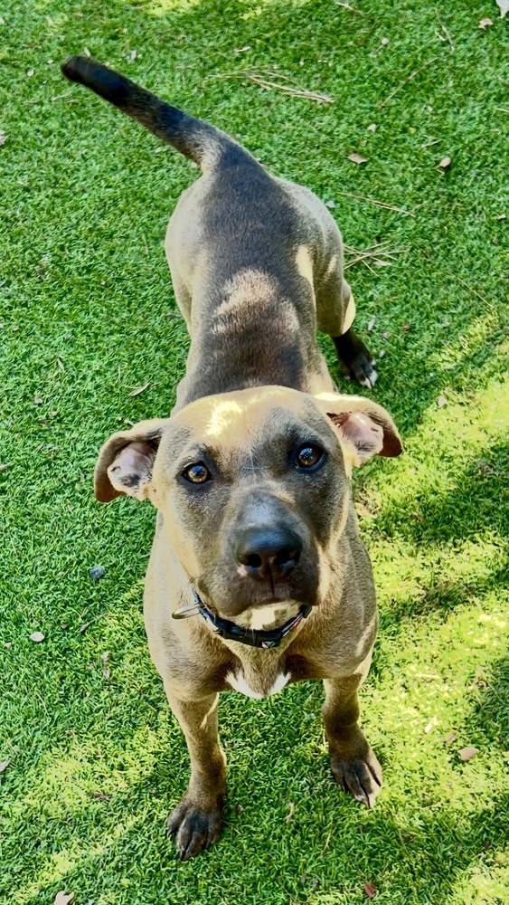 Oakleigh thumbnail 2