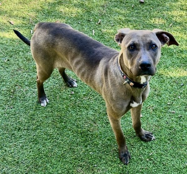 Oakleigh thumbnail 3