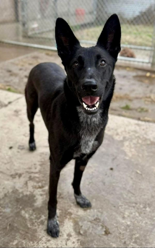 Chiquita thumbnail 2