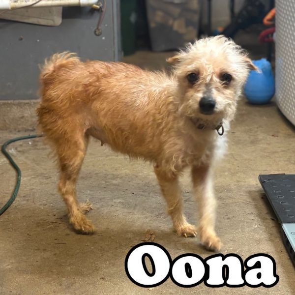Oona