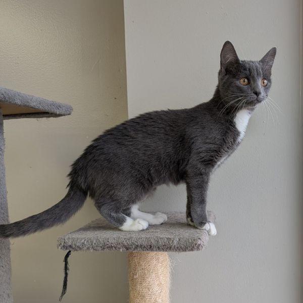 Esmerelda thumbnail 2